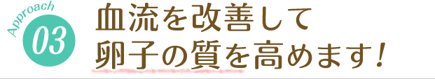 血流を改善して卵子の質を高めます